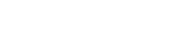 TRILLIUM INSTITUTE